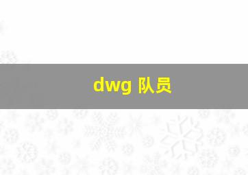 dwg 队员